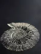 The Space Between Exhibition: Bridging Traditional Craft and Modern Architecture