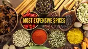 The World's 8 Most Expensive Spices and the Reasons Behind Their High Cost