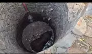 Three-Hour Rescue Operation Saves Elephant Trapped in 30-Foot Well in Odisha