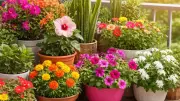 Top 10 Heat-Tolerant Plants That Thrive in India's Scorching Summers