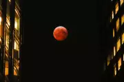 Total Lunar Eclipse on Holi 2026: A Rare Celestial Event for Indian Students