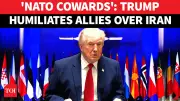 Trump Slams NATO as 'Paper Tiger' Over Iran War Support Refusal