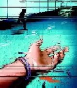 Turkish Woman Killed in Hit-and-Run by Speeding Audi on Zirakpur's VIP Road