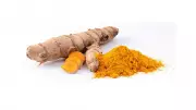 Turmeric in Gardening: A Natural Pest Repellent and Plant Health Booster