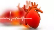 Understanding HDL Cholesterol: The Protective Power for Heart Health