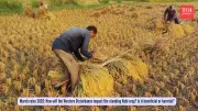 Unseasonal March Rains Threaten Rabi Harvest in North India, Risking Crop Loss
