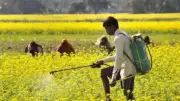 Uttar Pradesh's Agricultural Revolution: From Breadbasket to Tech-Driven Powerhouse