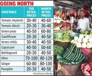 Vegetable Prices Surge in Jaipur as Winter Harvest Season Ends