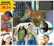 Vidarbha Heatwave Intensifies: Temperatures Soar 4.5°C Above Normal, AC Demand Spikes