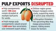 West Asia Conflict Cripples Andhra's Mango Pulp Trade, Exports Worth ₹1,300 Crore Stalled