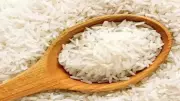 West Asia Conflict Cripples India's Basmati Rice Exports, Traders Face Billions in Losses
