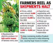 West Asia Conflict Cripples Rayalaseema Banana Exports, Farmers Face Ruin