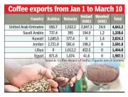 West Asia Crisis Disrupts Mangaluru's Coffee Exports, Freight Costs Soar Sixfold