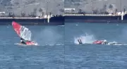 Windsurfer Collides with Gray Whale in San Francisco Bay, Video Goes Viral