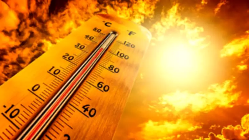 10 Hottest Temperatures Ever Recorded on Earth: From Death Valley to Dallol