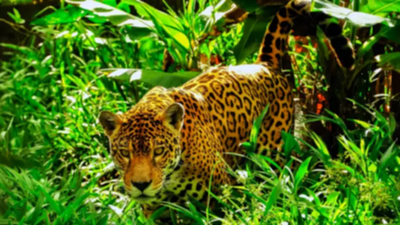 10 Iconic Amazon Rainforest Animals: From Jaguars to Toucans