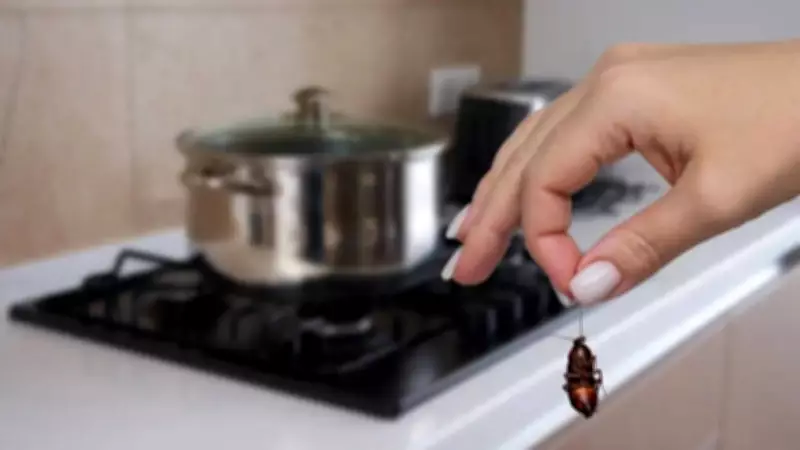 10 Natural Home Remedies to Eliminate Cockroaches Fast Without Chemicals