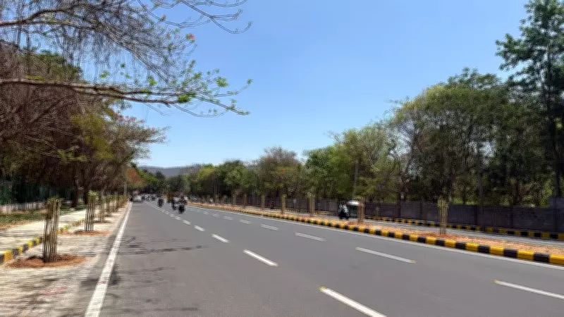 122 Tabebuia Rosea Saplings Planted Along Mysuru's Widened Hyder Ali Road