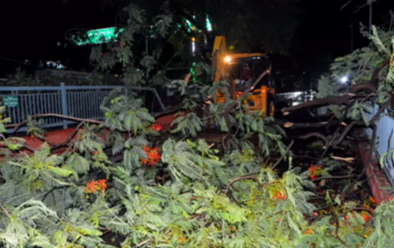 150-Year-Old Tree Collapse in Buxar Causes Power Outage, Residents Angry