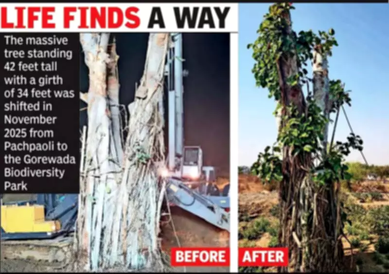 188-Year-Old Banyan Tree Thrives After Historic Relocation in Nagpur