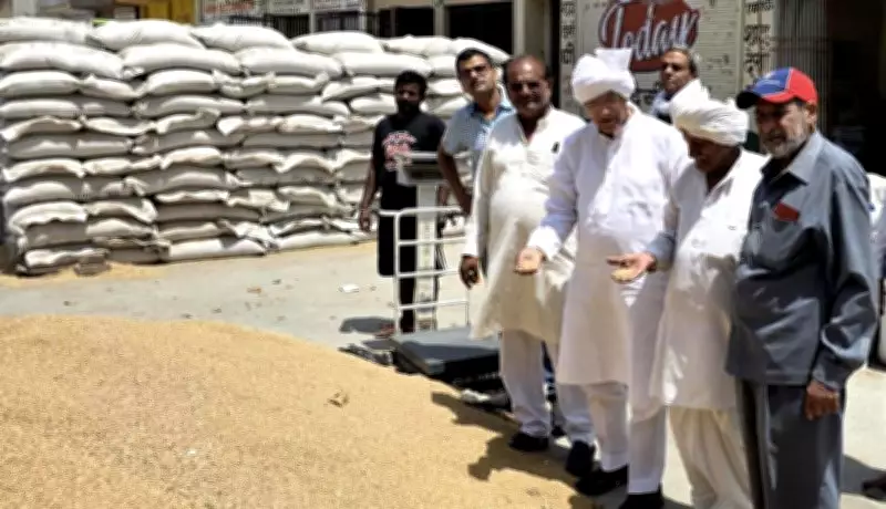 37% Wheat Lifted in Haryana's Rohtak Grain Market; Kisan Sabha Flags Concern