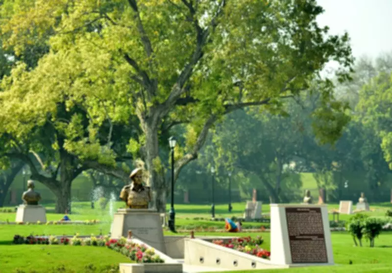 43 Trees Perish in Central Vista Project, Experts Criticize Relocation Strategy