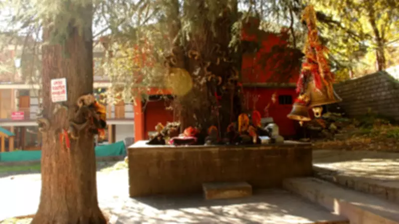 5 Fascinating Facts About Manali's Historic Hidimba Temple