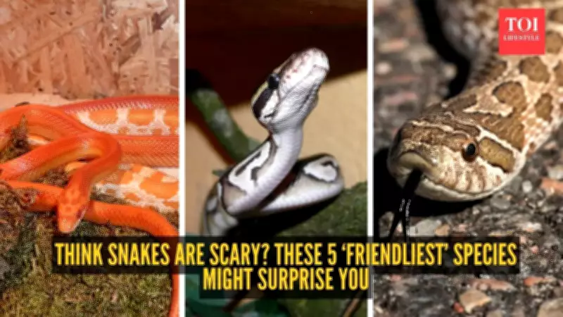 5 Most Docile Snake Species That Prefer Retreat Over Attack