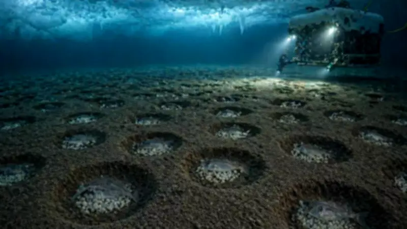 60 Million Fish Nests Discovered Under Antarctic Ice in Massive Breeding Colony