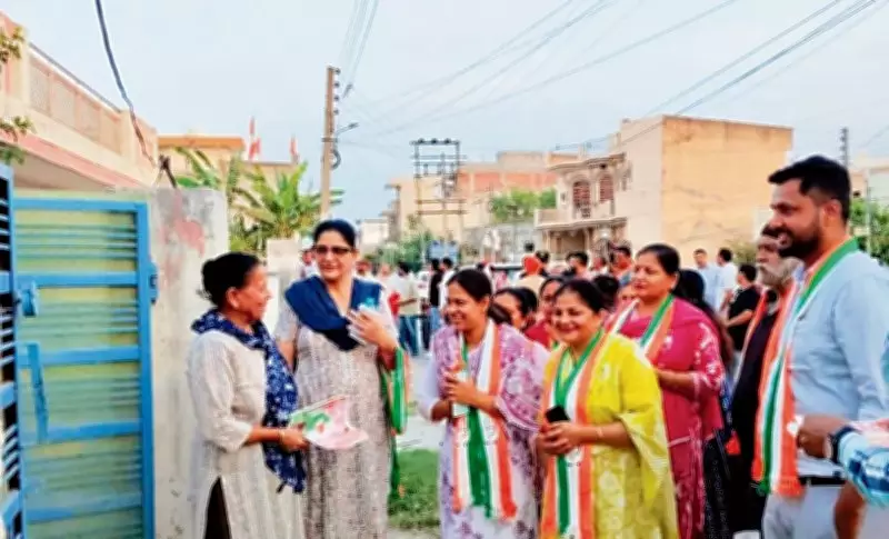 65 Candidates Contest for 20 Wards in Ambala Municipal Corporation Polls