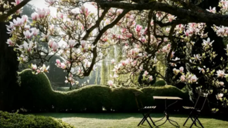 7 Best British Trees for a Front Garden That Look Good All Year