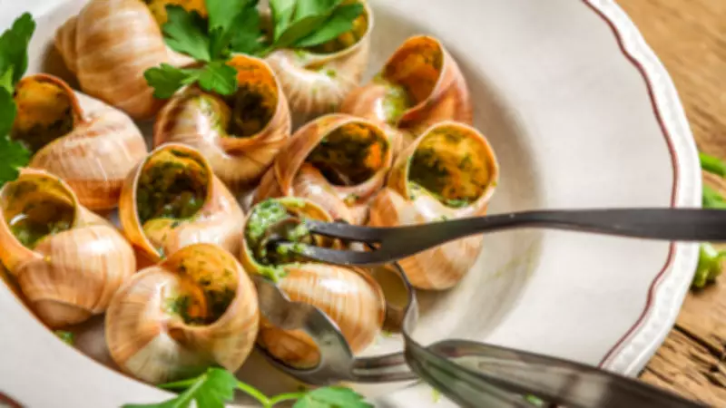 7 Delicious Snail Dishes You Must Try: From French Classics to Global Flavors