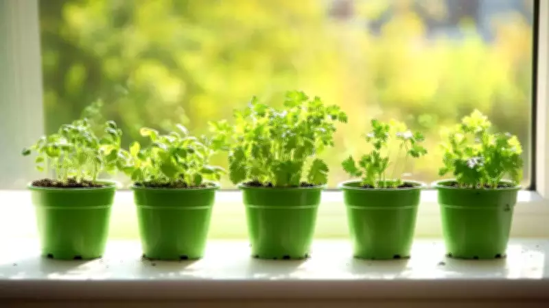 7 Indoor Herbs You Can Grow Near a Sunny Window for Fresh Flavor Year-Round