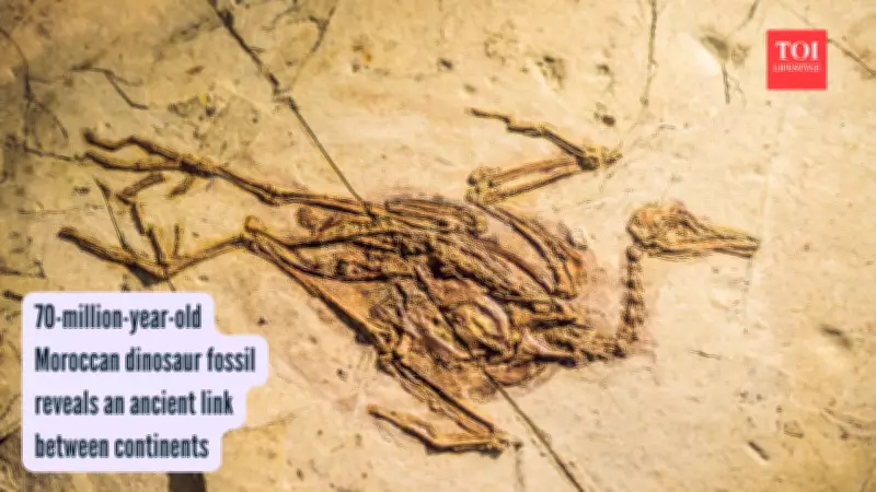 70-Million-Year-Old Titanosaur Fossil Discovered in Morocco Sheds Light on Dinosaur Evolution