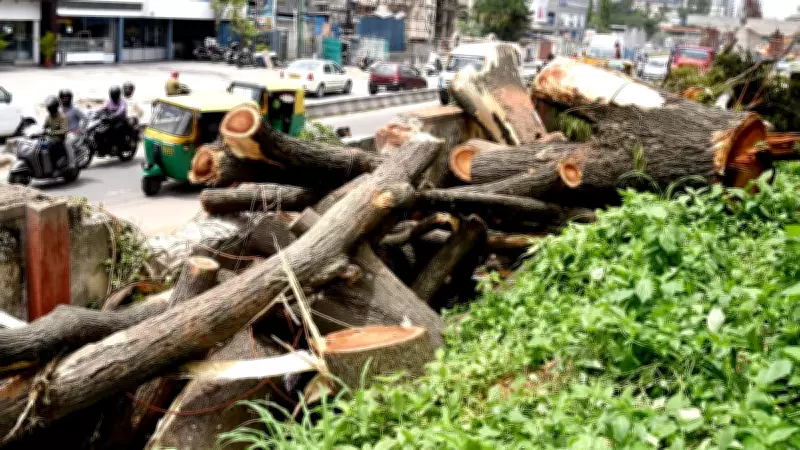 700 Mumbai Trees Face Axe; Activists Appeal to CM Fadnavis