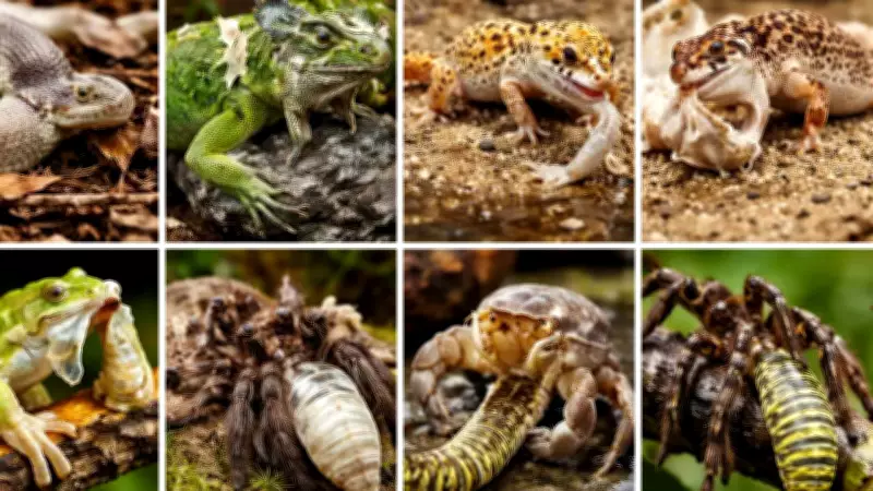 8 Animals That Shed Their Skin in Surprising Ways: Nature's Remarkable Renewal Process