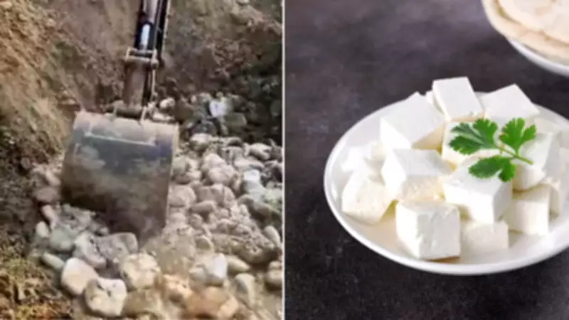 900 kg Adulterated Paneer Seized in Ghaziabad; How to Check Purity at Home
