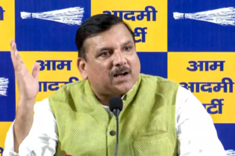 AAP's 3 Rajya Sabha Members Still with Party: Who Are Kejriwal's Remaining Upper House MPs?