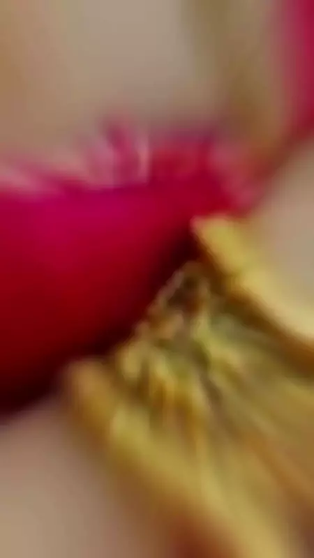 Adrija Roy Exudes Royal Vibes on Akshaya Tritiya