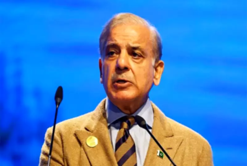 Afghanistan-Pakistan Talks in China Conclude Without Formal Agreement
