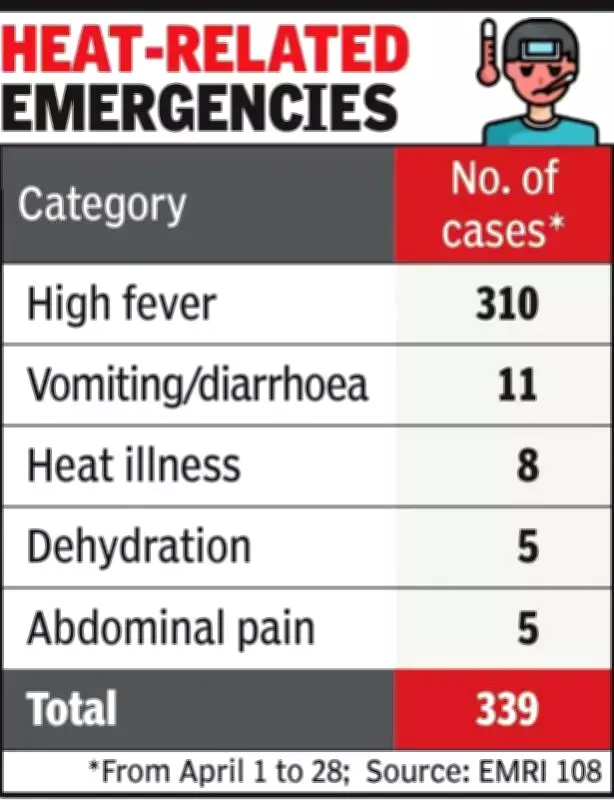 Ahmedabad Records 17 Heat Emergencies Daily Amid Scorching Heat