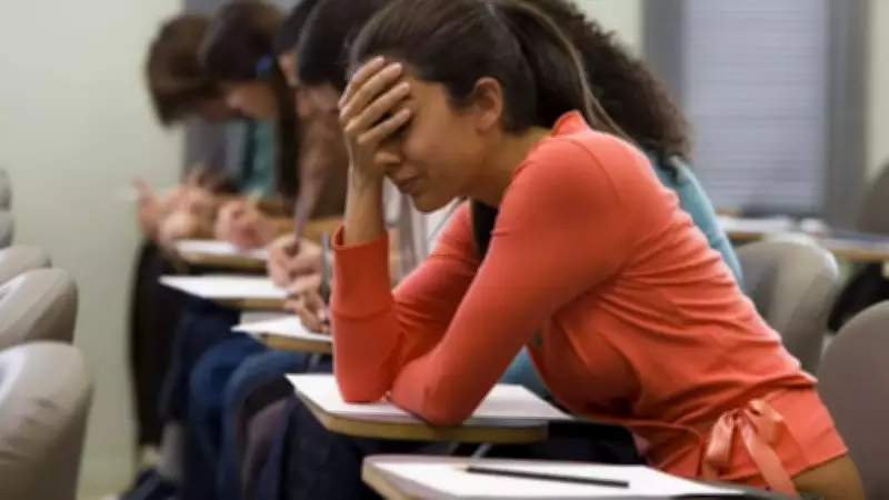 AI Reshapes College Major Choices: 16% of Students Already Switched