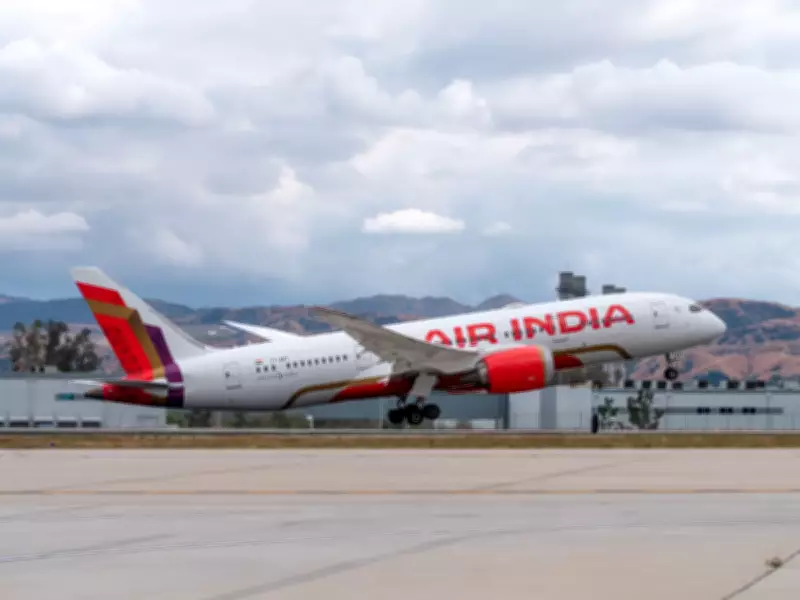 Air India to Make Meals Optional on Short Flights, Cut Ticket Prices