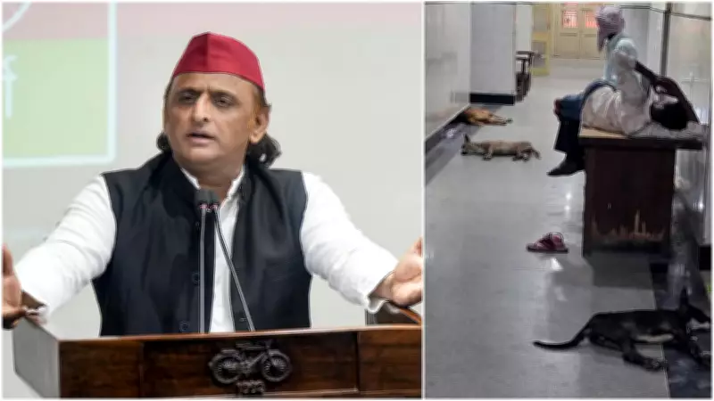Akhilesh Yadav Slams UP Govt Over Stray Dogs in BHU Hospital Ahead of PM Modi's Varanasi Visit