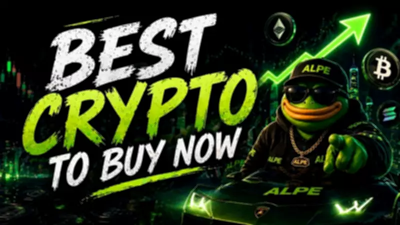 AlphaPepe Outshines Pepe, Shib Amid $500M Liquidity Influx: Best Crypto to Buy Now