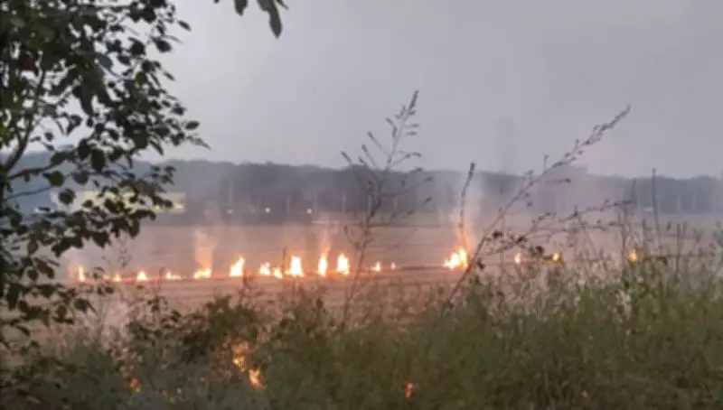 Amritsar District Forms Task Force to Combat Crop Residue Burning
