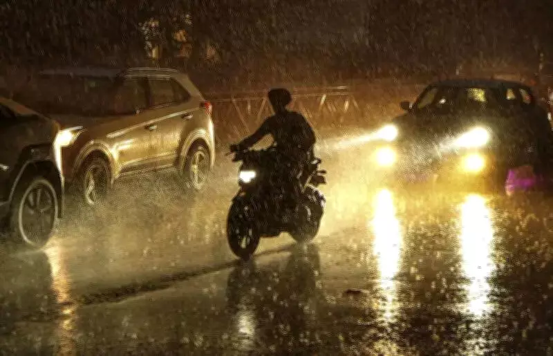 Amritsar Farmers Face Heavy Losses as Unseasonal Rain, Hailstorm Damage Wheat Crop