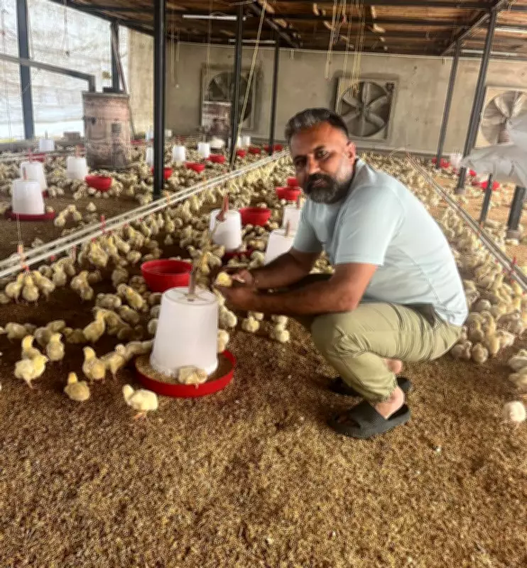 Amritsar Farmer's Poultry Venture Soars, Inspiring Progressive Agriculture