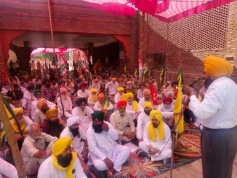 Amritsar Farmers Stage Morcha Protest, Demand Relief for Crop Damage