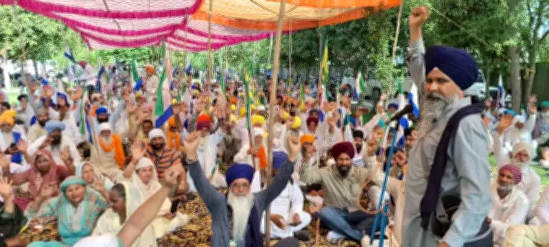Amritsar Farmers Stage Protest at SDM Office, Demand Flood Relief Compensation